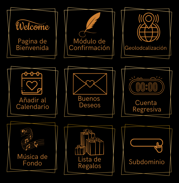 Paquete Bronce